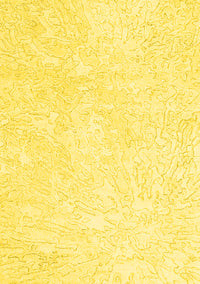 Solid Yellow Modern Rug, con2598yw