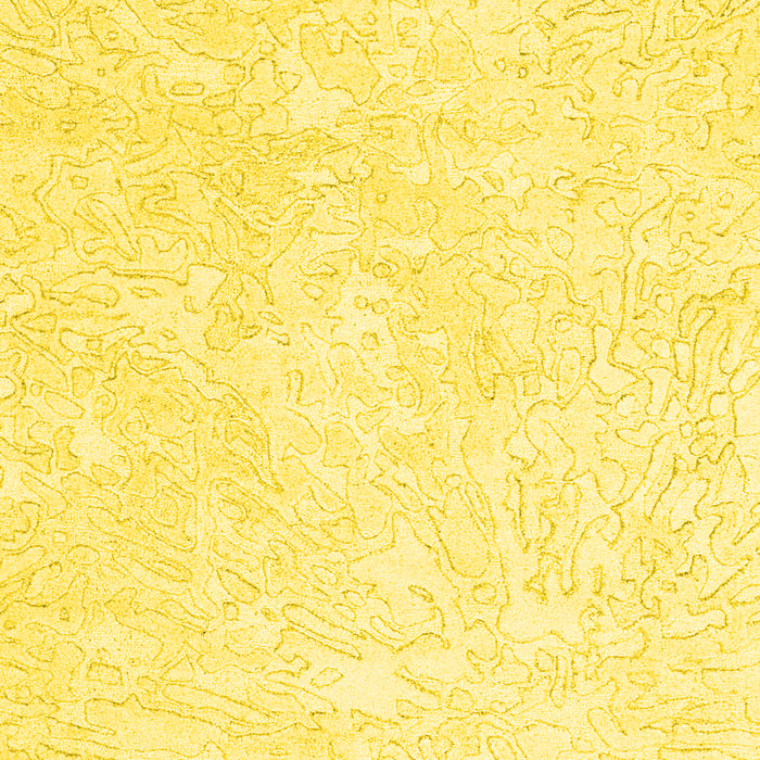 Solid Yellow Modern Rug, con2598yw