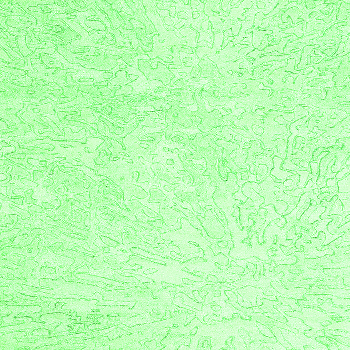 Serging Thickness of Solid Green Modern Rug, con2598grn