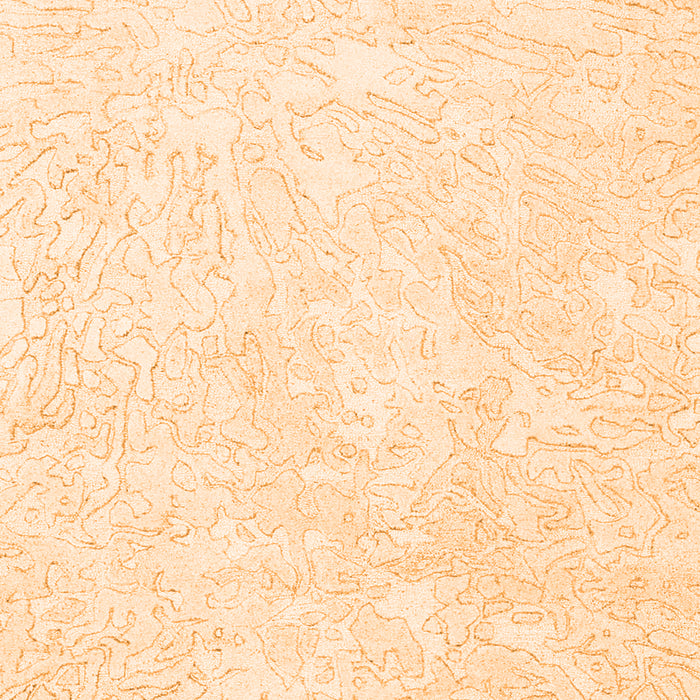 Serging Thickness of Machine Washable Solid Orange Modern Area Rugs, wshcon2598org