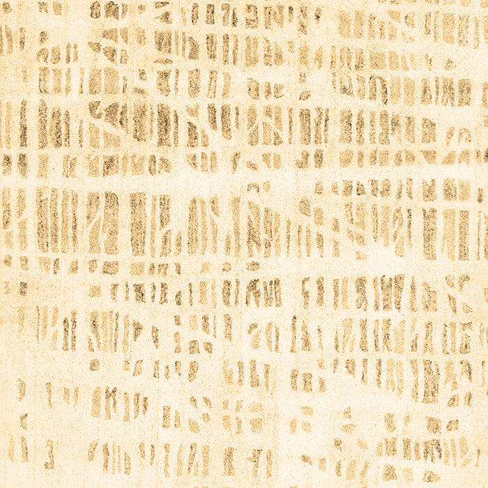 Solid Brown Modern Rug, con2599brn