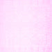 Square Solid Pink Modern Rug, con259pnk