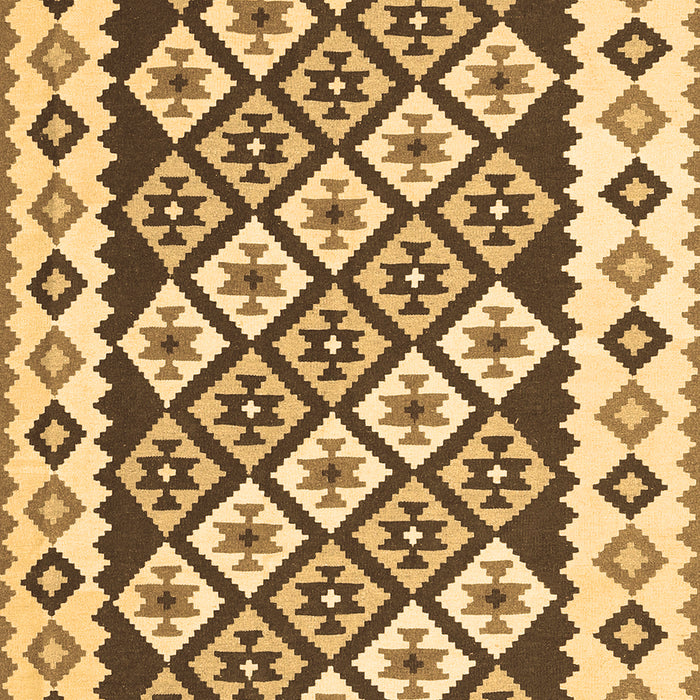 Machine Washable Southwestern Brown Country Rug, wshcon2671brn