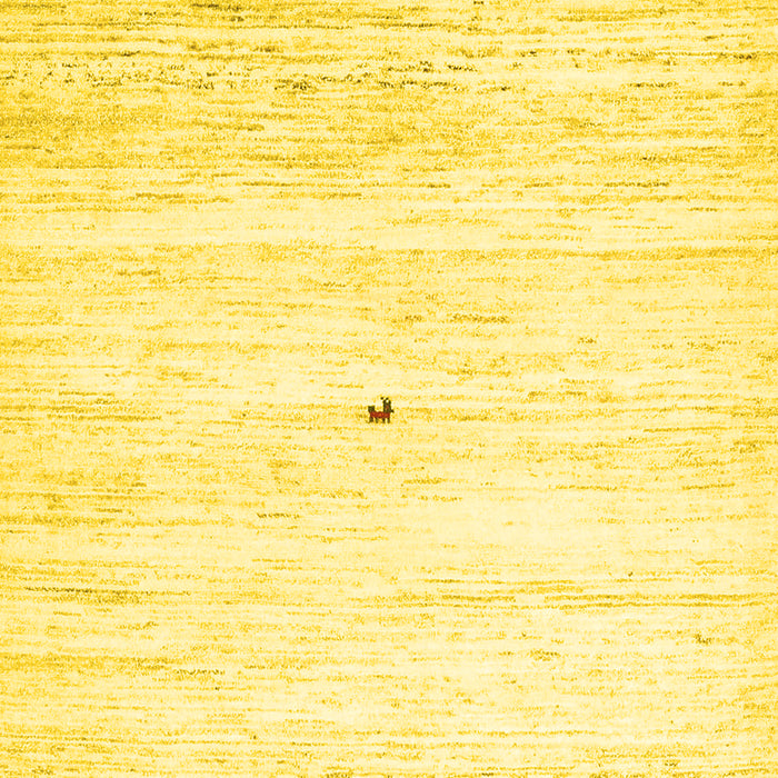 Solid Yellow Modern Rug, con2719yw