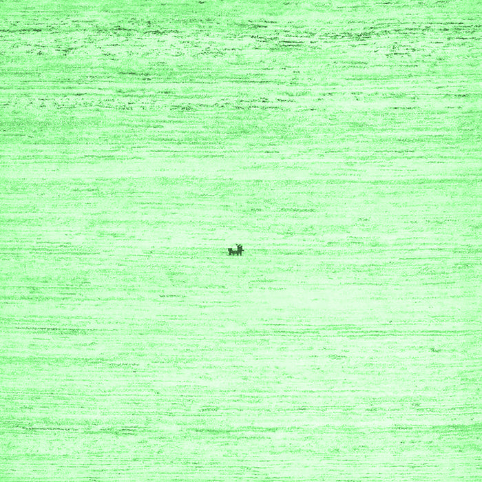 Square Machine Washable Solid Emerald Green Modern Area Rugs, wshcon2719emgrn