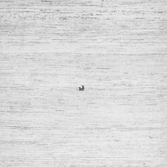 Serging Thickness of Machine Washable Solid Gray Modern Rug, wshcon2719gry