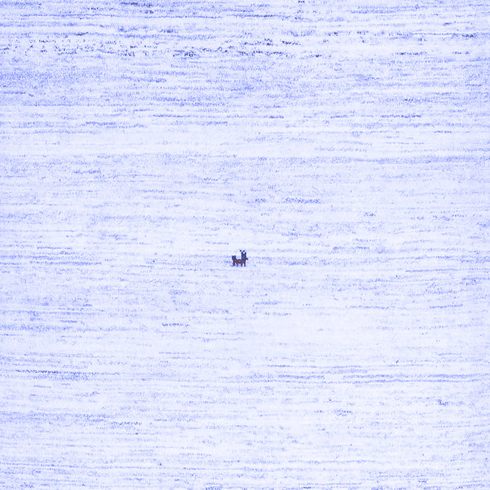 Machine Washable Solid Blue Modern Rug, wshcon2719blu