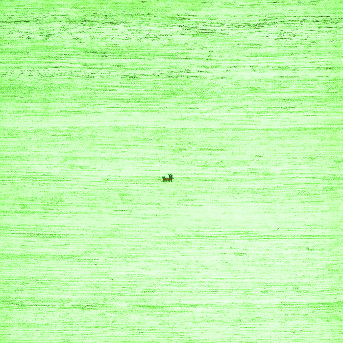 Round Machine Washable Solid Green Modern Area Rugs, wshcon2719grn