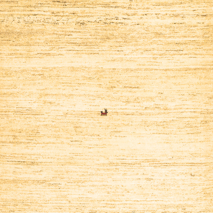 Machine Washable Solid Brown Modern Rug, wshcon2719brn