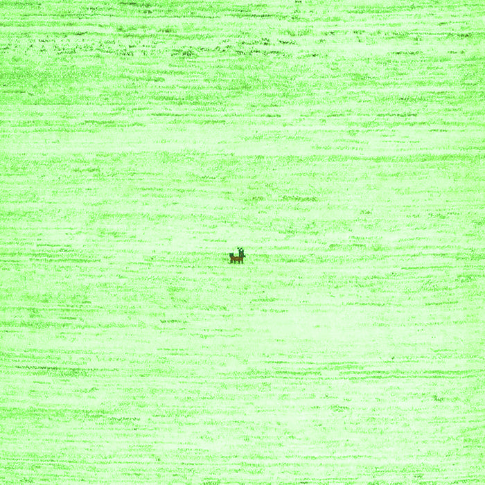 Solid Green Modern Rug, con2719grn