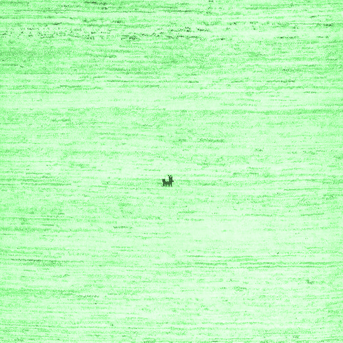 Solid Emerald Green Modern Rug, con2719emgrn