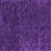 Square Abstract Purple Contemporary Rug, con2723pur