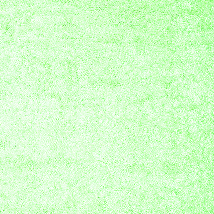 Solid Green Modern Rug, con2737grn