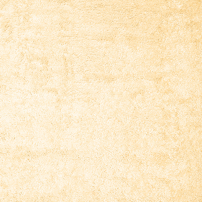 Solid Brown Modern Rug, con2737brn