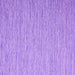 Square Abstract Purple Contemporary Rug, con2741pur