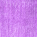 Square Abstract Purple Contemporary Rug, con2745pur