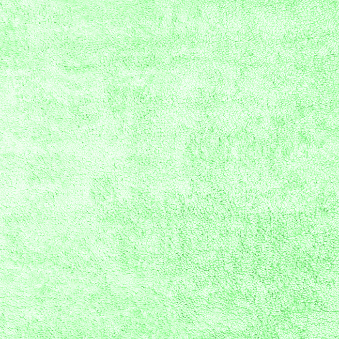 Solid Emerald Green Modern Rug, con2748emgrn