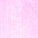 Square Solid Pink Modern Rug, con2748pnk