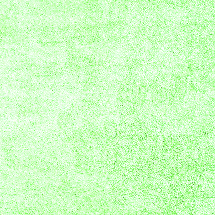 Solid Green Modern Rug, con2748grn