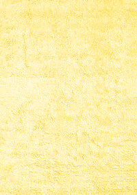 Solid Yellow Modern Rug, con2754yw