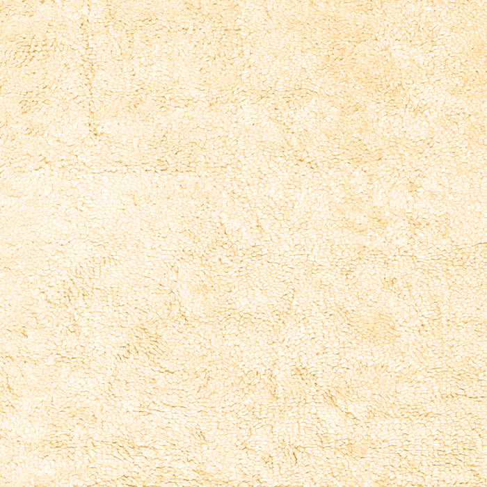 Solid Brown Modern Rug, con2754brn