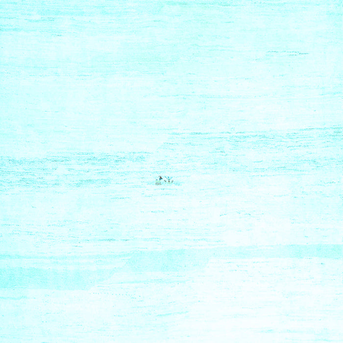 Solid Light Blue Modern Rug, con2804lblu