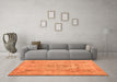 Machine Washable Persian Orange Bohemian Area Rugs in a Living Room, wshcon2806org