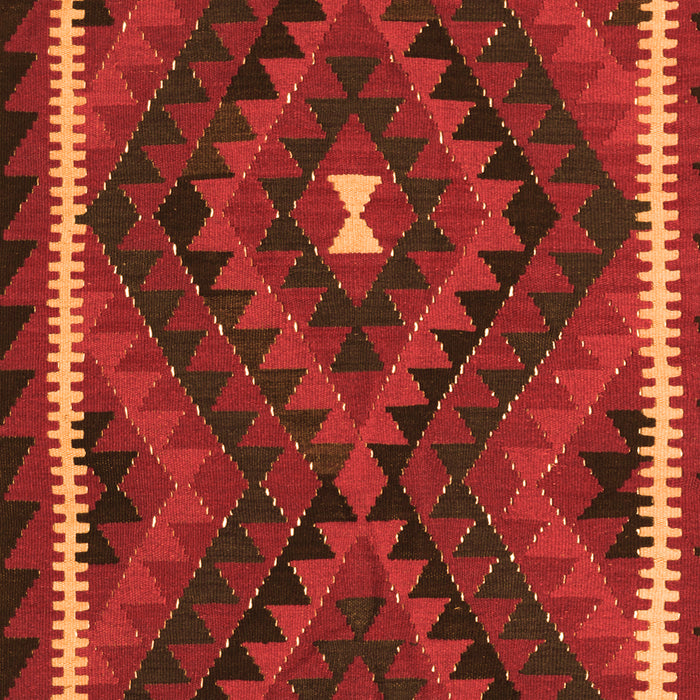 Oriental Orange Traditional Rug, con2807org