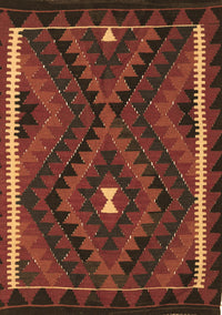 Oriental Brown Traditional Rug, con2807brn