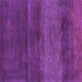 Square Abstract Purple Contemporary Rug, con2830pur