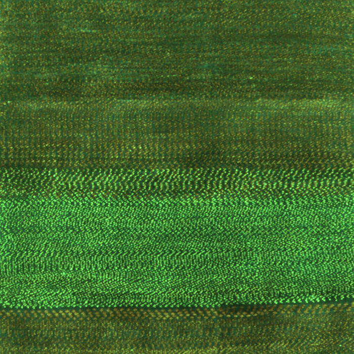 Abstract Green Contemporary Rug, con2830grn