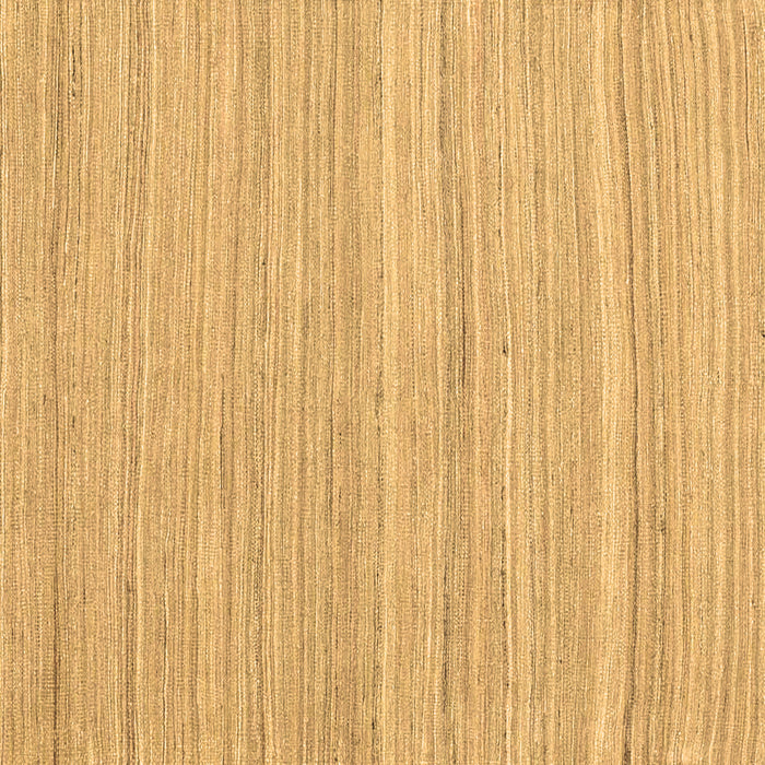 Square Abstract Brown Contemporary Rug, con2917brn