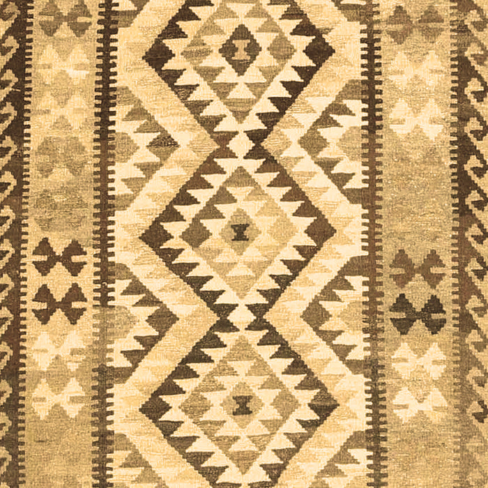 Machine Washable Southwestern Brown Country Rug, wshcon2920brn