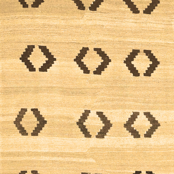 Machine Washable Southwestern Brown Country Rug, wshcon2922brn