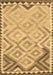 Southwestern Brown Country Rug, con2924brn