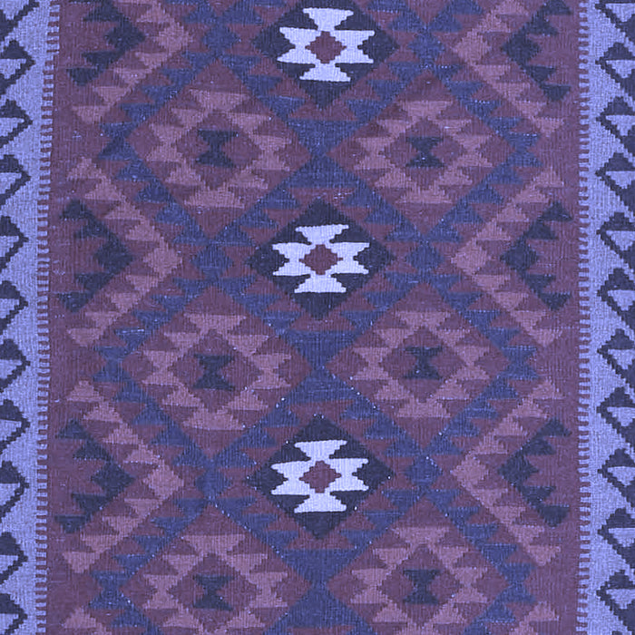 Oriental Blue Traditional Rug, con2930blu