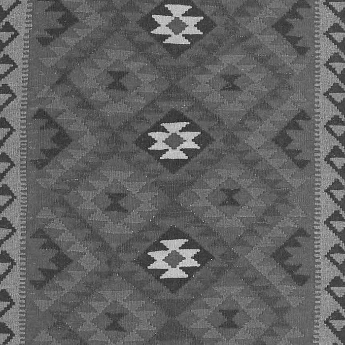 Oriental Gray Traditional Rug, con2930gry