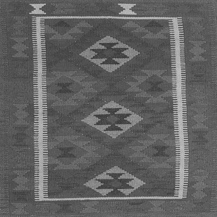 Serging Thickness of Oriental Gray Traditional Rug, con2931gry