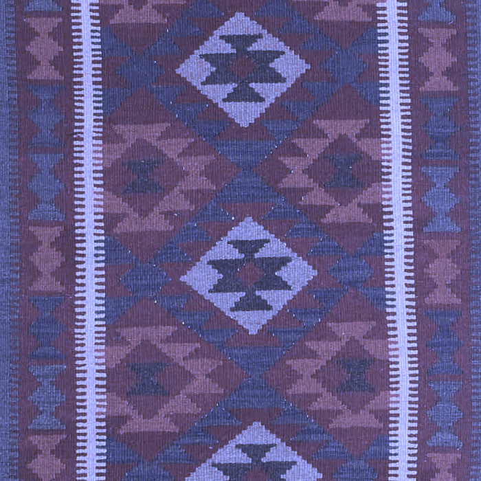 Oriental Blue Traditional Rug, con2931blu