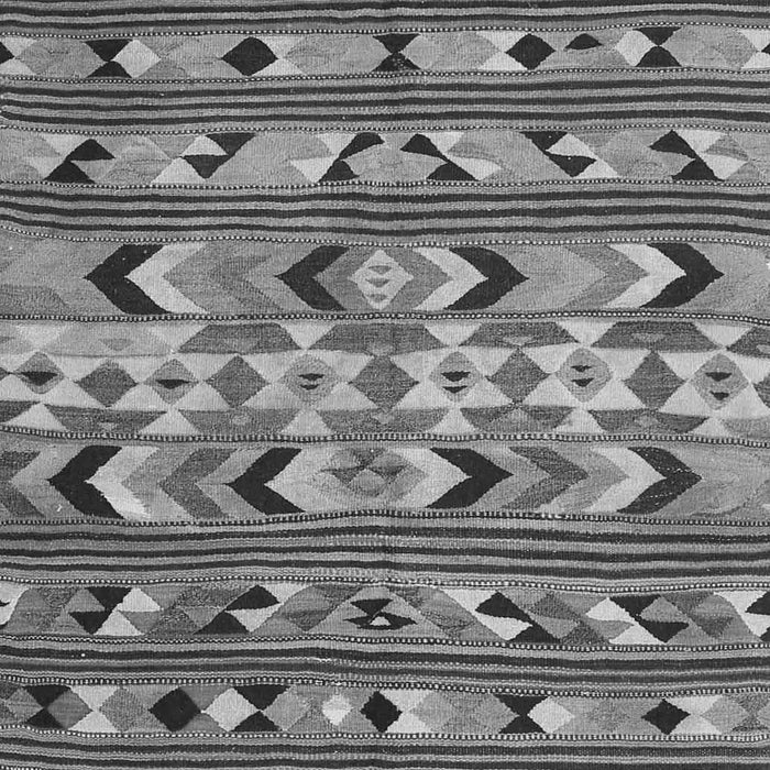 Oriental Gray Traditional Rug, con2960gry