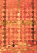 Oriental Orange Traditional Rug, con2962org