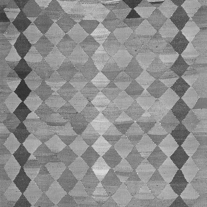 Oriental Gray Traditional Rug, con2962gry