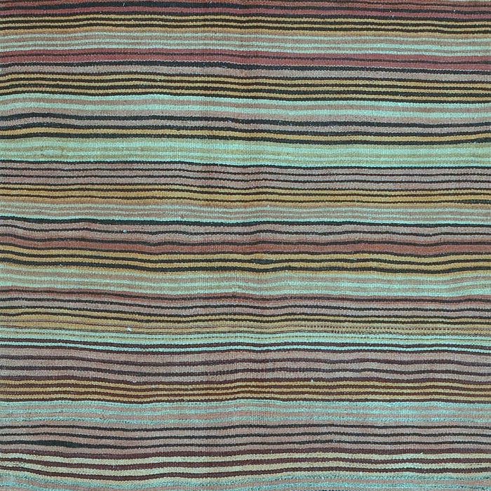 Oriental Light Blue Traditional Rug, con2964lblu