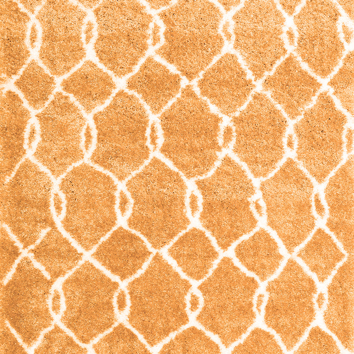 Trellis Orange Modern Rug, con2984org