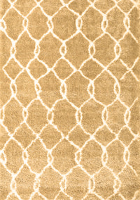 Trellis Brown Modern Rug, con2984brn