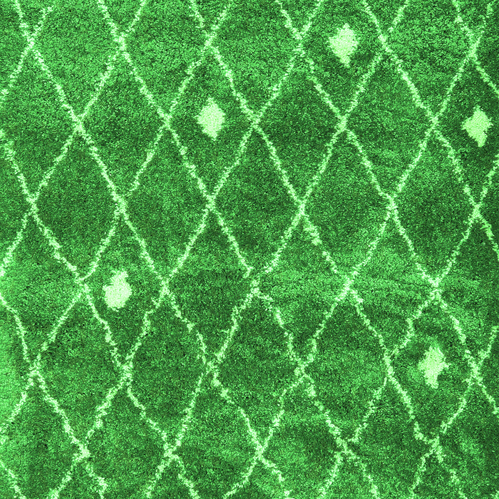 Trellis Green Modern Rug, con2987grn