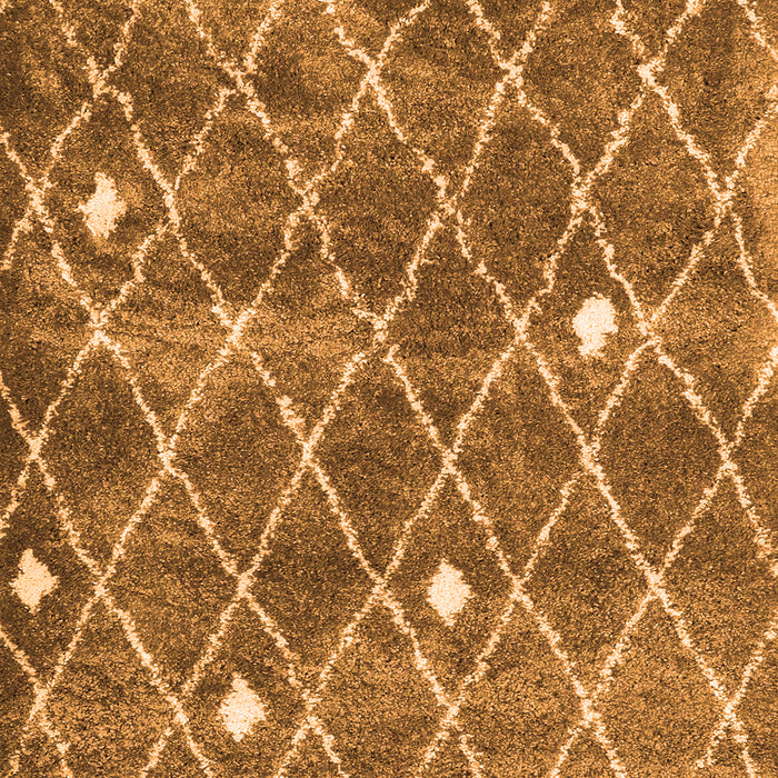 Trellis Orange Modern Rug, con2987org