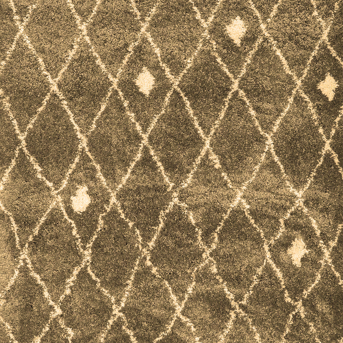 Trellis Brown Modern Rug, con2987brn