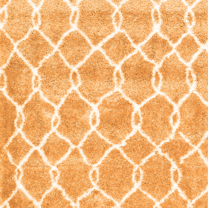 Trellis Orange Modern Rug, con2988org