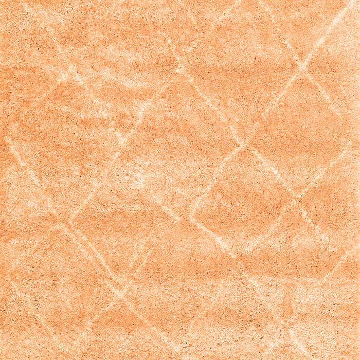Trellis Orange Modern Rug, con2989org